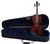 Palatino VN-450 Violin Hand Carved "Allegro" Violin Outfit w/ Ebony Fittings