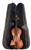 Palatino VN-950 Anziano Professional Violin Outfit