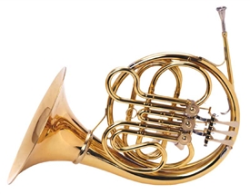 Palatino WI-823-FH Single Horn F-3 French Horn with Hard Case USA Inspected