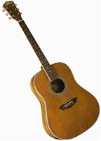 Washburn WSJ124K Southern Jumbo Acoustic Guitar w/ Hard Case