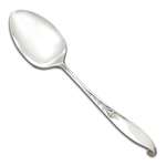 Wishing Star by Wallace, Sterling Tablespoon (Serving Spoon)