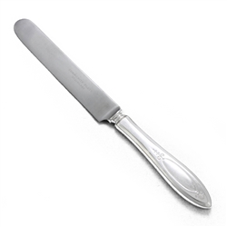 Adam by Community, Silverplate Dinner Knife, Blunt Stainless