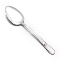 Adoration by 1847 Rogers, Silverplate Dessert Place Spoon