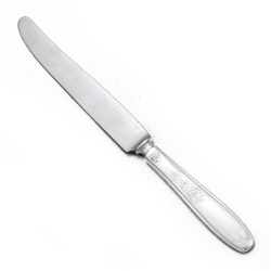 Ambassador by 1847 Rogers, Silverplate Dinner Knife, Flat Handle