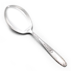 Ambassador by 1847 Rogers, Silverplate Berry Spoon