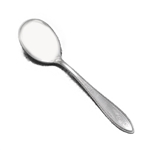 Argosy by 1847 Rogers, Silverplate Sugar Spoon