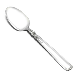 Gay Adventure by Prestige Plate, Silverplate Tablespoon (Serving Spoon)