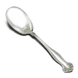 Avon by 1847 Rogers, Silverplate Preserve Spoon