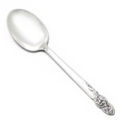 Rose of Sharon by F.M. Whiting, Sterling Sugar Spoon