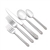 Moss Rose by National, Silverplate 5-PC Setting Dinner, Modern w/ Soup Spoon