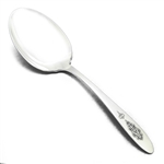 Bird of Paradise by Community, Silverplate Berry Spoon
