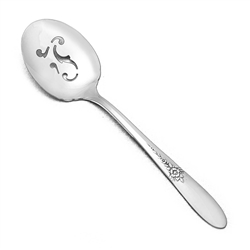 Fantasy by Tudor Plate, Silverplate Relish Spoon