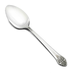 Plantation by 1881 Rogers, Silverplate Tablespoon (Serving Spoon)