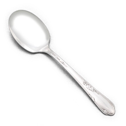 Meadowbrook by William A. Rogers, Silverplate Sugar Spoon