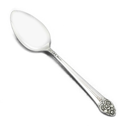 Plantation by 1881 Rogers, Silverplate Dessert Place Spoon
