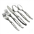 La Rose by Oneida, Stainless 5-PC Setting Dinner, Modern w/ Soup Spoon