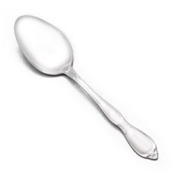 Chatelaine by Oneida, Stainless Tablespoon (Serving Spoon)