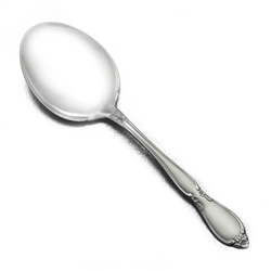 Chatelaine by Oneida, Stainless Berry Spoon