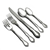 Mansion Hall by Oneida, Stainless 5-PC Setting w/ Soup Spoon