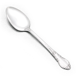 Enchantment by Oneida Ltd., Silverplate Teaspoon