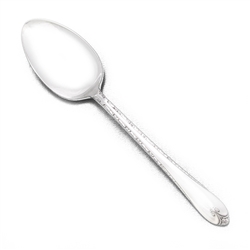 Exquisite by Rogers & Bros., Silverplate Five O'Clock Coffee Spoon