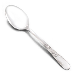 Bridal Wreath by Tudor Plate, Silverplate Oval Soup Spoon