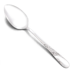 Bridal Wreath by Tudor Plate, Silverplate Tablespoon (Serving Spoon)