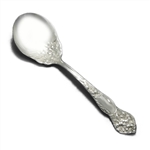 Lilyta by Stratford Silver Co., Silverplate Sugar Spoon