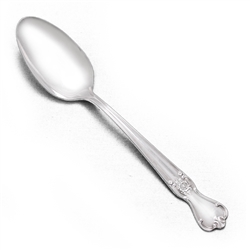 Signature by Old Company Plate, Silverplate Tablespoon (Serving Spoon)