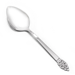 Nordic Crown by Oneida, Stainless Place Soup Spoon