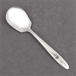 Provincial Rose by Sears, Roebuck & Co., Stainless Sugar Spoon