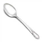 Bridal Veil by International, Sterling Tablespoon (Serving Spoon)