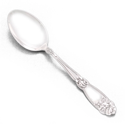 Fleur De Lis by Alvin, Sterling Teaspoon