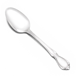 Chateau by Oneida, Stainless Youth Spoon