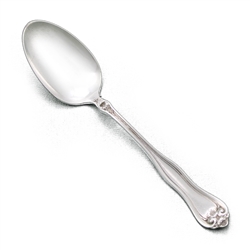 Leyland by 1881 Rogers, Silverplate Teaspoon