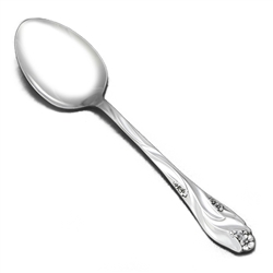 Lorilei by Oneida, Stainless Tablespoon (Serving Spoon)