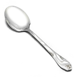 Lorilei by Oneida, Stainless Sugar Spoon