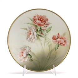 Decorators Plate by R S Germany, China, Carnations