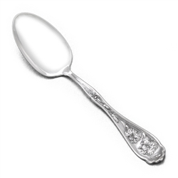 Carnation by W.R. Keystone, Silverplate Tablespoon (Serving Spoon)