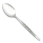 Caress by National, Stainless Teaspoon