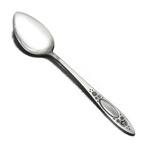 Vignette by Oneida, Stainless Teaspoon