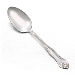 Leyland by 1881 Rogers, Silverplate Tablespoon (Serving Spoon)