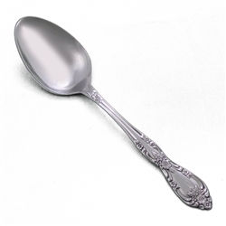 Galveston by Oneida, Stainless Tablespoon (Serving Spoon)