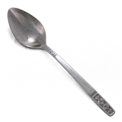 Cortina by Imperial Int., Stainless Place Soup Spoon