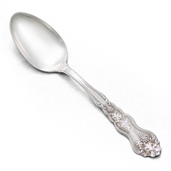 Moselle by American Silver Co., Silverplate Dessert Place Spoon