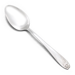 Daffodil by 1847 Rogers, Silverplate Dessert/Oval/Place Spoon