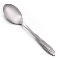 Star Design by Koba, Stainless Place Soup Spoon