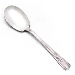 Desire by Wm. Rogers, Silverplate Sugar Spoon