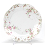 Dinner Plate by Zeh, Scherzer & Co., Porcelain