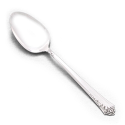 Damask Rose by Oneida, Sterling Dessert/Oval/Place Spoon